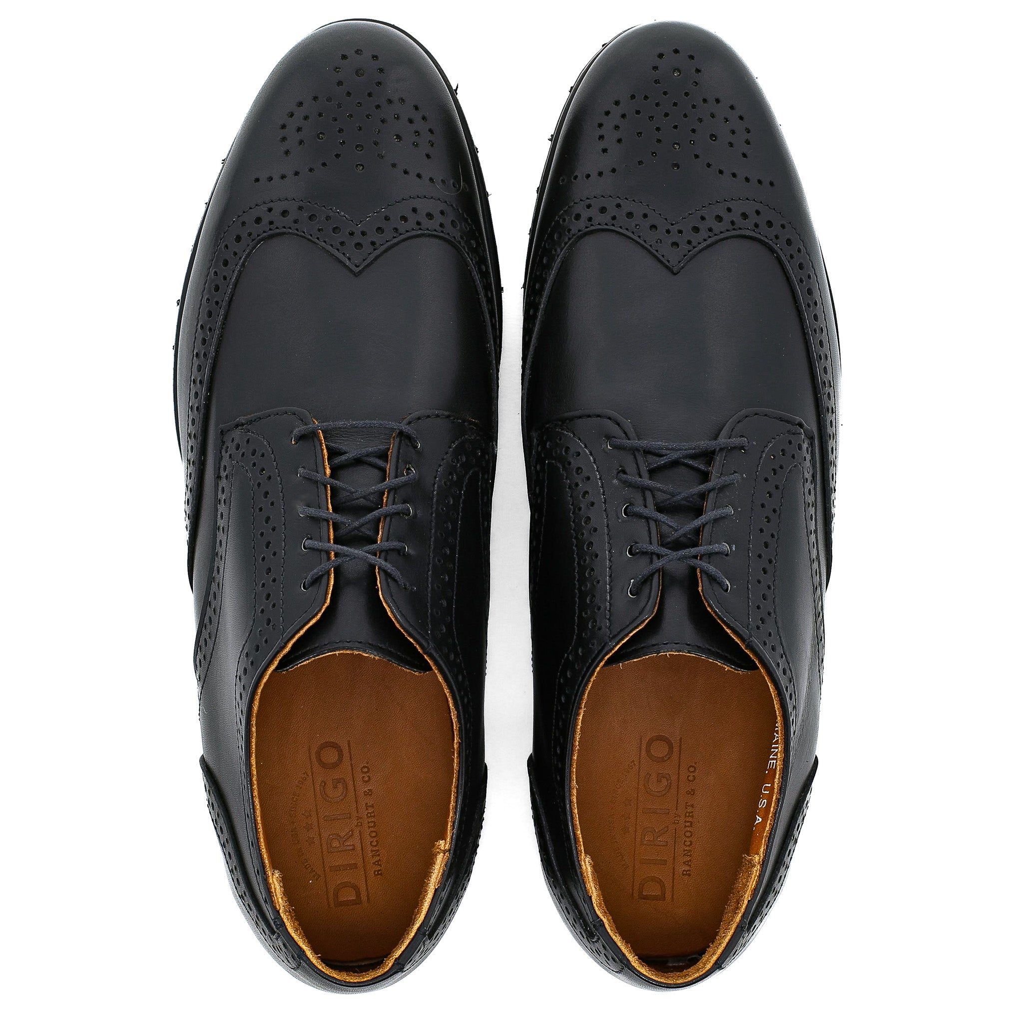 Dirigo Wingtip - Black Calf