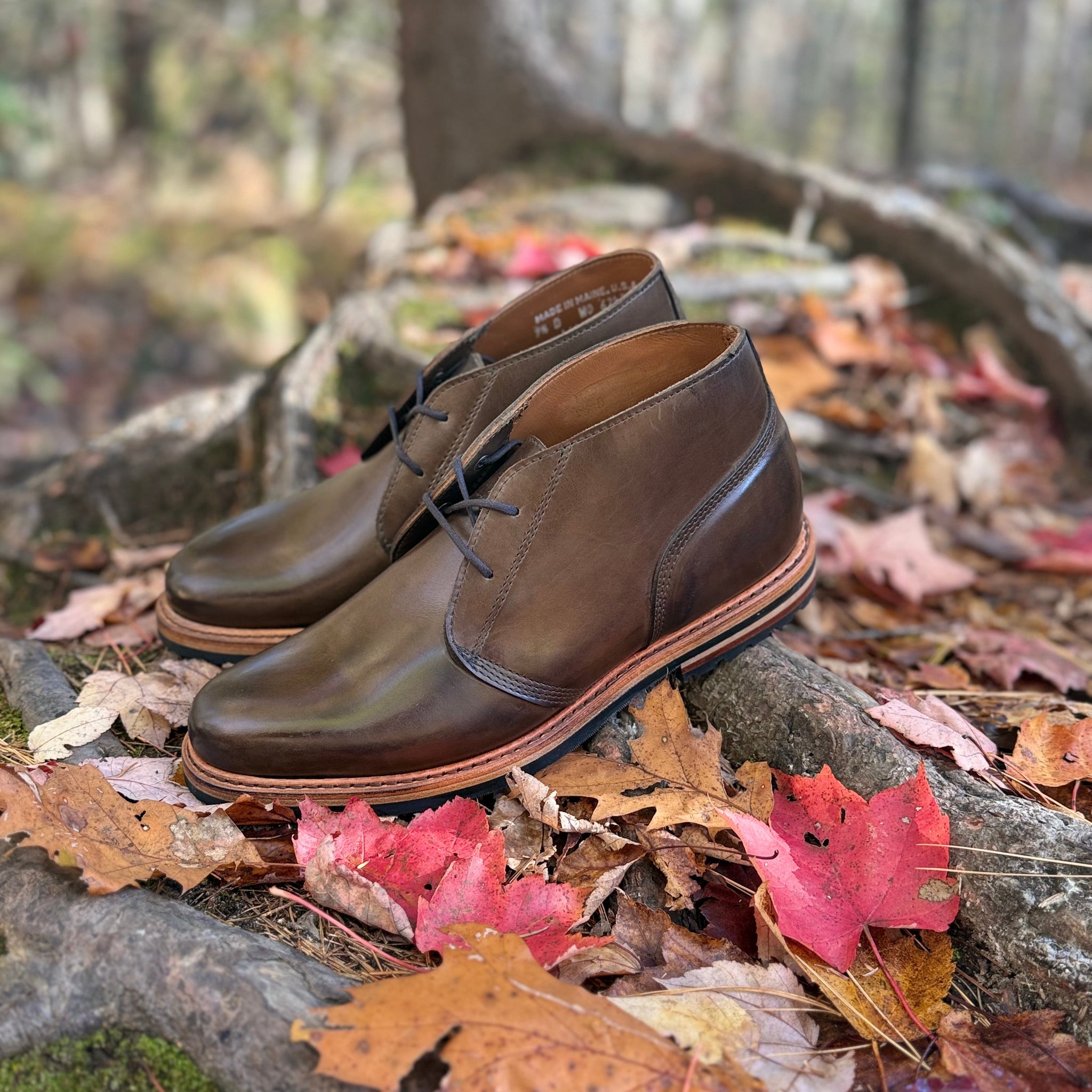 Berwick Gusset Chukka - Olive Mimosa Calf